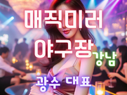 강남-매직미러야구장(광수대표)