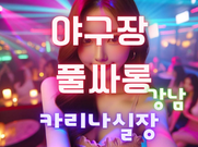 강남-야구장(카리나실장)